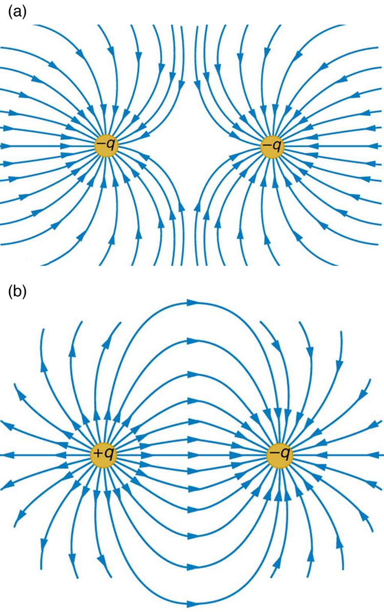 In part a, two negative charges of magnitude minus q are placed at some distance. Their field lines are represented by curved arrows terminating into the negative charges. The curves are divergent. In part b, two charges are placed at a distance where one is positive labeled as plus q and other is negative labeled as minus q. The field lines represented by curved arrows start from the positive charge and end at the negative charge. The curves are convergent.