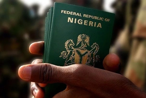 2019 Nigerian Elections: What You Should Know About the Nigerian Government