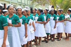 Nigerian Army College of Nursing and Midwifery Admission Form for 2024/2025 Session