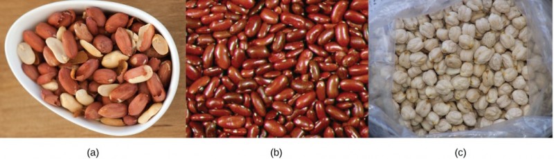  Top photo shows a bowl of shelled peanuts. Middle photo shows red kidney beans. Bottom photo shows white, bumpy, round chickpeas.