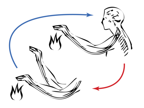 Reflex arc mechanism