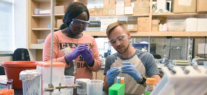 SPIE Scholarship in Optical Science and Engineering for International Students