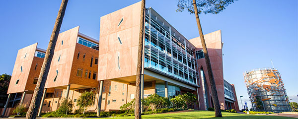 Study in Australia: 2018 Innovation Scholarships at Curtin Business School
