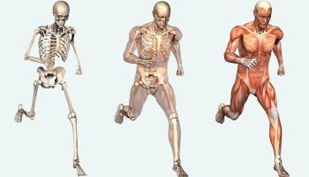 10 Strange Facts You Did Not Know About Your Body