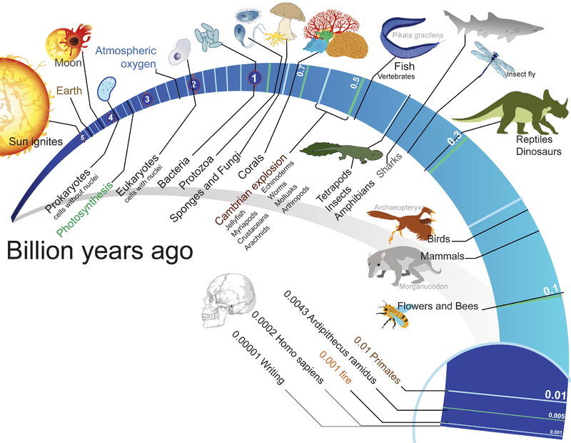 Timeline of life on Earth