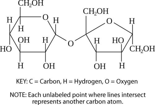 Structure of a sucrose molecule