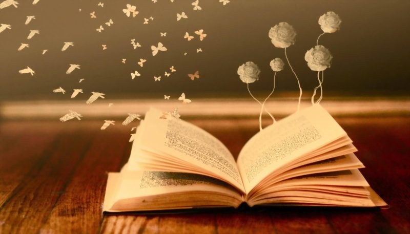 reading-book