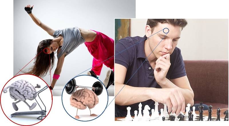 brain-exercise