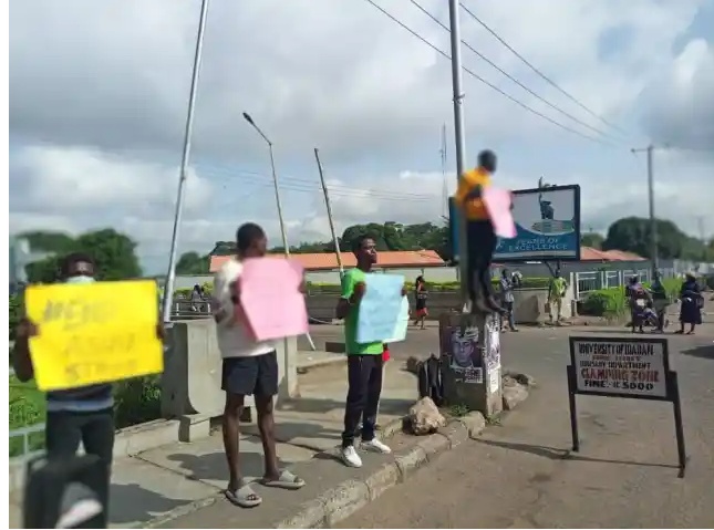 ASUU Strike: Nigerian University Students Protest Over Ongoing Strike at UI Gate