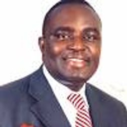 Professor Peter Okebukola