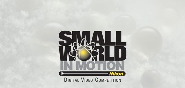2017 Nikon Small World in Motion Digital Video Competition
