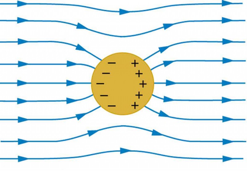 A spherical conductor is placed in the external electric field. The field lines are shown running from left to right. The field lines enter and leave the conductor at right angles. Negative charges accumulate on the left surface of the conductor and positive charges accumulate on the right surface of the conductor.