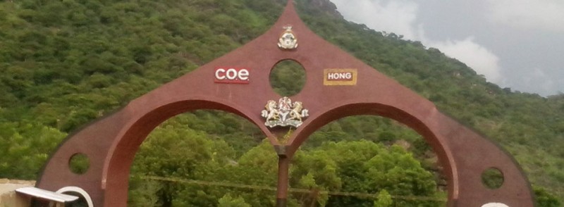 List of Courses Offered at College Of Education, Hong (COEHONG)