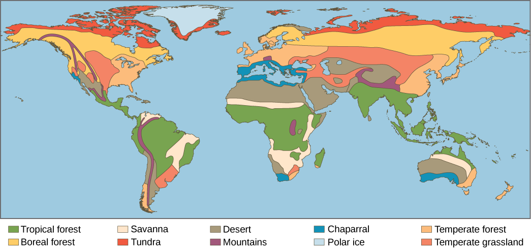  This world map shows the eight major biomes, polar ice, and mountains. Tropical forests, deserts and savannas are found primarily in South America, Africa, and Australia. Tropical forests also dominate Southeast Asia. Deserts dominate the Middle East and are found in the southwestern United States. Temperate forests dominate the eastern United States, Europe, and Eastern Asia. Temperate grasslands dominate the midwestern United States and parts of Asia, and are also found in South America. The boreal forest is found in northern Canada, Europe, and Asia, and tundra exists to the north of the boreal forest. Mountainous regions run the length of North and South America, and are found in northern India, Africa, and parts of Europe. Polar ice covers Greenland and Antarctica, which the latter is not shown on the map.
