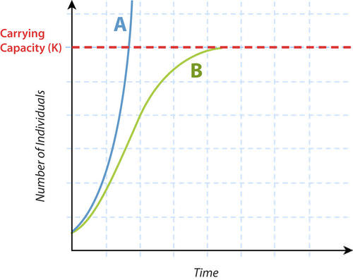 Graph of exponential versus logistic growth