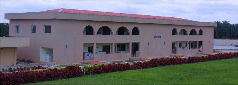 Micheal and Cecilia Ibru University (MCIU) Postgraduate Admission Form, 2023/2024