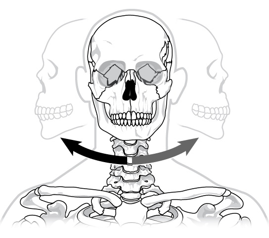Illustration shows a human skull twisting back and forth on the neck in a pivot-like motion.