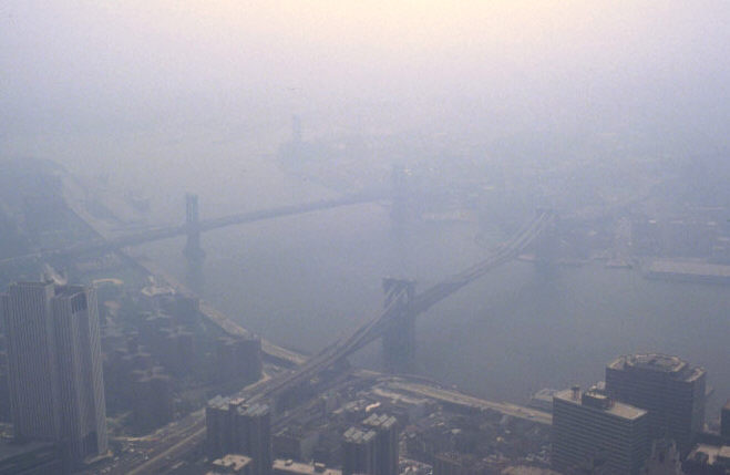 Smog in New York City: Photochemical smog is composed of primary and secondary pollutants. Primary pollutants include nitrogen oxides and volatile organic compounds as a result of industrial processes, while secondary pollutants are created through the reaction of primary pollutants with ultraviolet light.