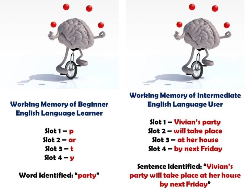 language_users