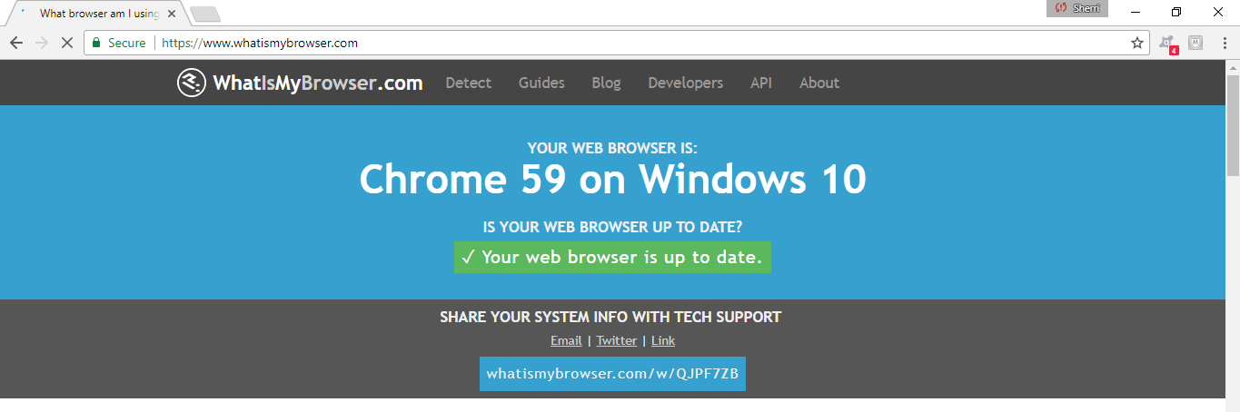 A website that informs you of whether or not your browser is configured appropriately.