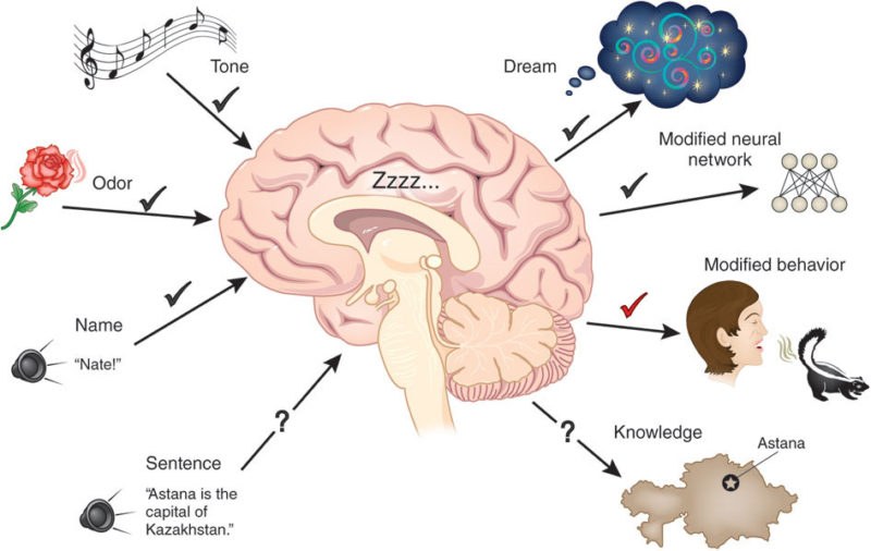 sleeping-and-learning