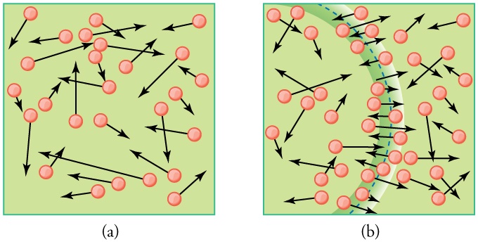 In part a of the figure, circles represent molecules distributed in a gas. Attached to each circle is a vector representing velocity. The circles have a random arrangement, while the vector arrows have random orientations and lengths. In part b of the figure, an arc represents a sound wave as it passes through a gas. The velocity of each molecule along the peak of the wave is roughly oriented parallel to the transmission direction of the wave.