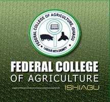 fca-ishiagu