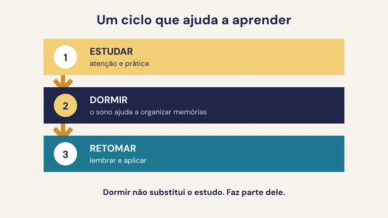 Ilustração de uma trilha que passa por estudar, dormir e lembrar, mostrando o sono como parte do processo de aprendizagem.