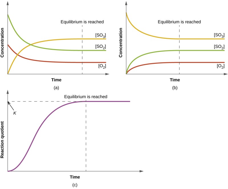 Three graphs are shown and labeled, “a,” “b,” and “c.” All three graphs have a vertical dotted line running through the middle labeled, “Equilibrium is reached.” The y-axis on graph a is labeled, “Concentration,” and the x-axis is labeled, “Time.” Three curves are plotted on graph a. The first is labeled, “[ S O subscript 2 ];” this line starts high on the y-axis, ends midway down the y-axis, has a steep initial slope and a more gradual slope as it approaches the far right on the x-axis. The second curve on this graph is labeled, “[ O subscript 2 ];” this line mimics the first except that it starts and ends about fifty percent lower on the y-axis. The third curve is the inverse of the first in shape and is labeled, “[ S O subscript 3 ].” The y-axis on graph b is labeled, “Concentration,” and the x-axis is labeled, “Time.” Three curves are plotted on graph b. The first is labeled, “[ S O subscript 2 ];” this line starts low on the y-axis, ends midway up the y-axis, has a steep initial slope and a more gradual slope as it approaches the far right on the x-axis. The second curve on this graph is labeled, “[ O subscript 2 ];” this line mimics the first except that it ends about fifty percent lower on the y-axis. The third curve is the inverse of the first in shape and is labeled, “[ S O subscript 3 ].” The y-axis on graph c is labeled, “Reaction Quotient,” and the x-axis is labeled, “Time.” A single curve is plotted on graph c. This curve begins at the bottom of the y-axis and rises steeply up near the top of the y-axis, then levels off into a horizontal line. The top point of this line is labeled, “k.”