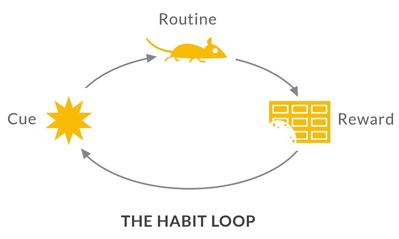 habit-loop