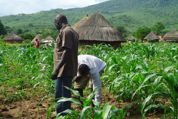 agriculture-1