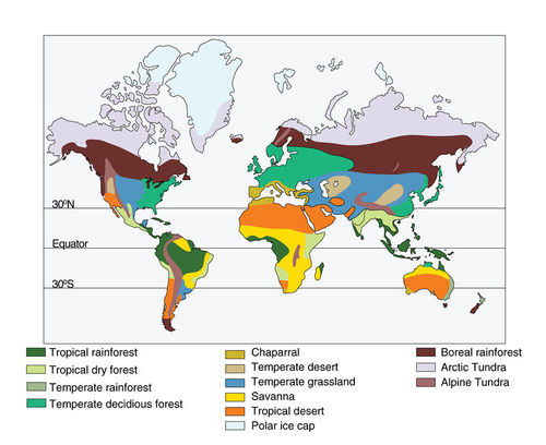 A map showing the locations of Earth's major terrestrial biomes