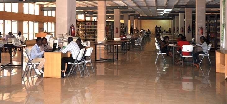 library-goers