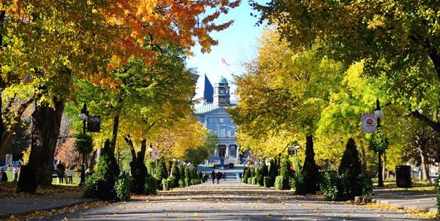 McGill Mastercard Foundation Scholarship 2027: Eligibility and Benefits