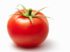 Experts From University of Ibadan Proffer Solution to Tomato Disease
