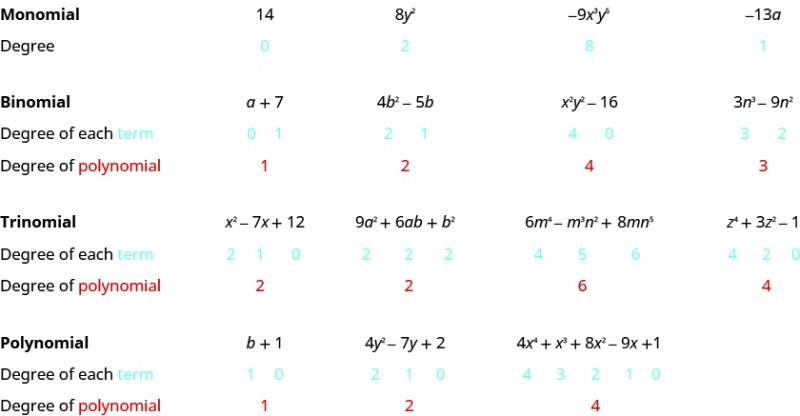 This table has 11 rows and 5 columns. The first column is a header column, and it names each row. The first row is named “Monomial,” and each cell in this row contains a different monomial. The second row is named “Degree,” and each cell in this row contains the degree of the monomial above it. The degree of 14 is 0, the degree of 8y squared is 2, the degree of negative 9x cubed y to the fifth power is 8, and the degree of negative 13a is 1. The third row is named “Binomial,” and each cell in this row contains a different binomial. The fourth row is named “Degree of each term,” and each cell contains the degrees of the two terms in the binomial above it. The fifth row is named “Degree of polynomial,” and each cell contains the degree of the binomial as a whole.” The degrees of the terms in a plus 7 are 0 and 1, and the degree of the whole binomial is 1. The degrees of the terms in 4b squared minus 5b are 2 and 1, and the degree of the whole binomial is 2. The degrees of the terms in x squared y squared minus 16 are 4 and 0, and the degree of the whole binomial is 4. The degrees of the terms in 3n cubed minus 9n squared are 3 and 2, and the degree of the whole binomial is 3. The sixth row is named “Trinomial,” and each cell in this row contains a different trinomial. The seventh row is named “Degree of each term,” and each cell contains the degrees of the three terms in the trinomial above it. The eighth row is named “Degree of polynomial,” and each cell contains the degree of the trinomial as a whole. The degrees of the terms in x squared minus 7x plus 12 are 2, 1, and 0, and the degree of the whole trinomial is 2. The degrees of the terms in 9a squared plus 6ab plus b squared are 2, 2, and 2, and the degree of the trinomial as a whole is 2. The degrees of the terms in 6m to the fourth power minus m cubed n squared plus 8mn to the fifth power are 4, 5, and 6, and the degree of the whole trinomial is 6. The degrees of the terms in z to the fourth power plus 3z squared minus 1 are 4, 2, and 0, and the degree of the whole trinomial is 4. The ninth row is named “Polynomial,” and each cell contains a different polynomial. The tenth row is named “Degree of each term,” and the eleventh row is named “Degree of polynomial.” The degrees of the terms in b plus 1 are 1 and 0, and the degree of the whole polynomial is 1. The degrees of the terms in 4y squared minus 7y plus 2 are 2, 1, and 0, and the degree of the whole polynomial is 2. The degrees of the terms in 4x to the fourth power plus x cubed plus 8x squared minus 9x plus 1 are 4, 3, 2, 1, and 0, and the degree of the whole polynomial is 4.