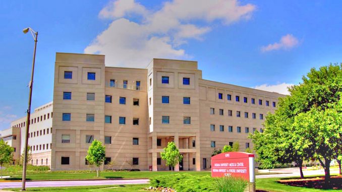 IUPUI Undergraduate Scholarships for International Students to Study in USA