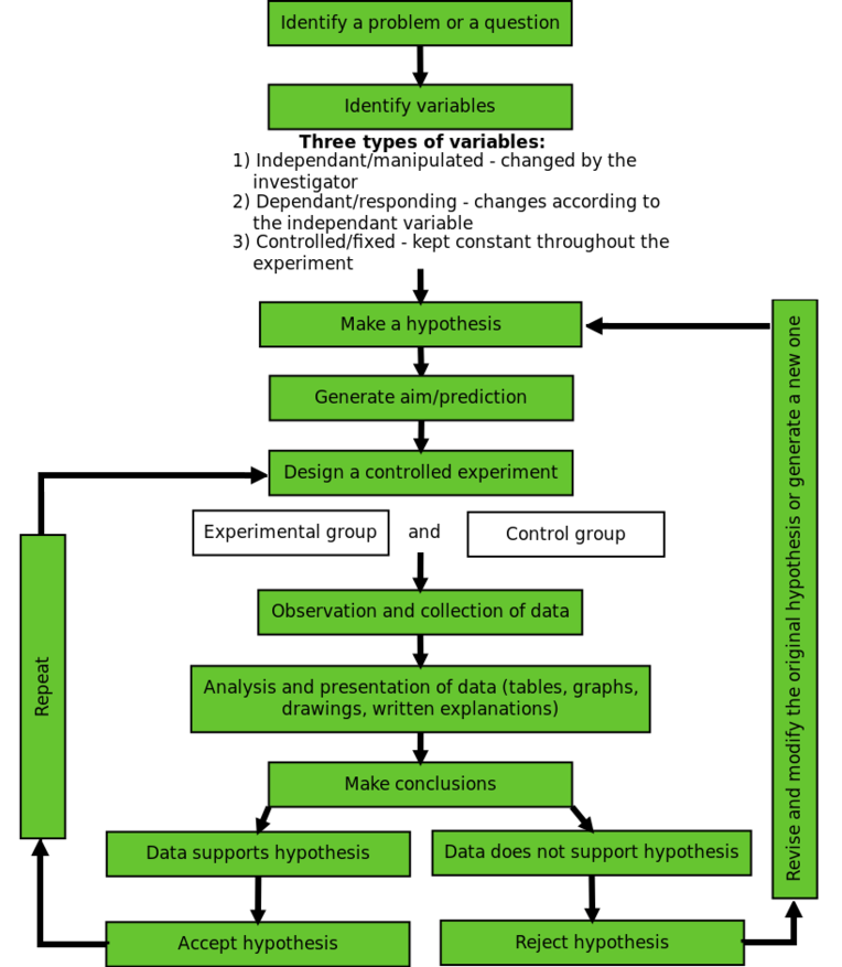 A step-by-step guide to the scientific method