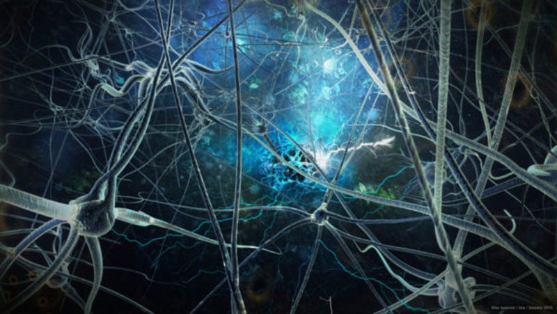 neuron-firing