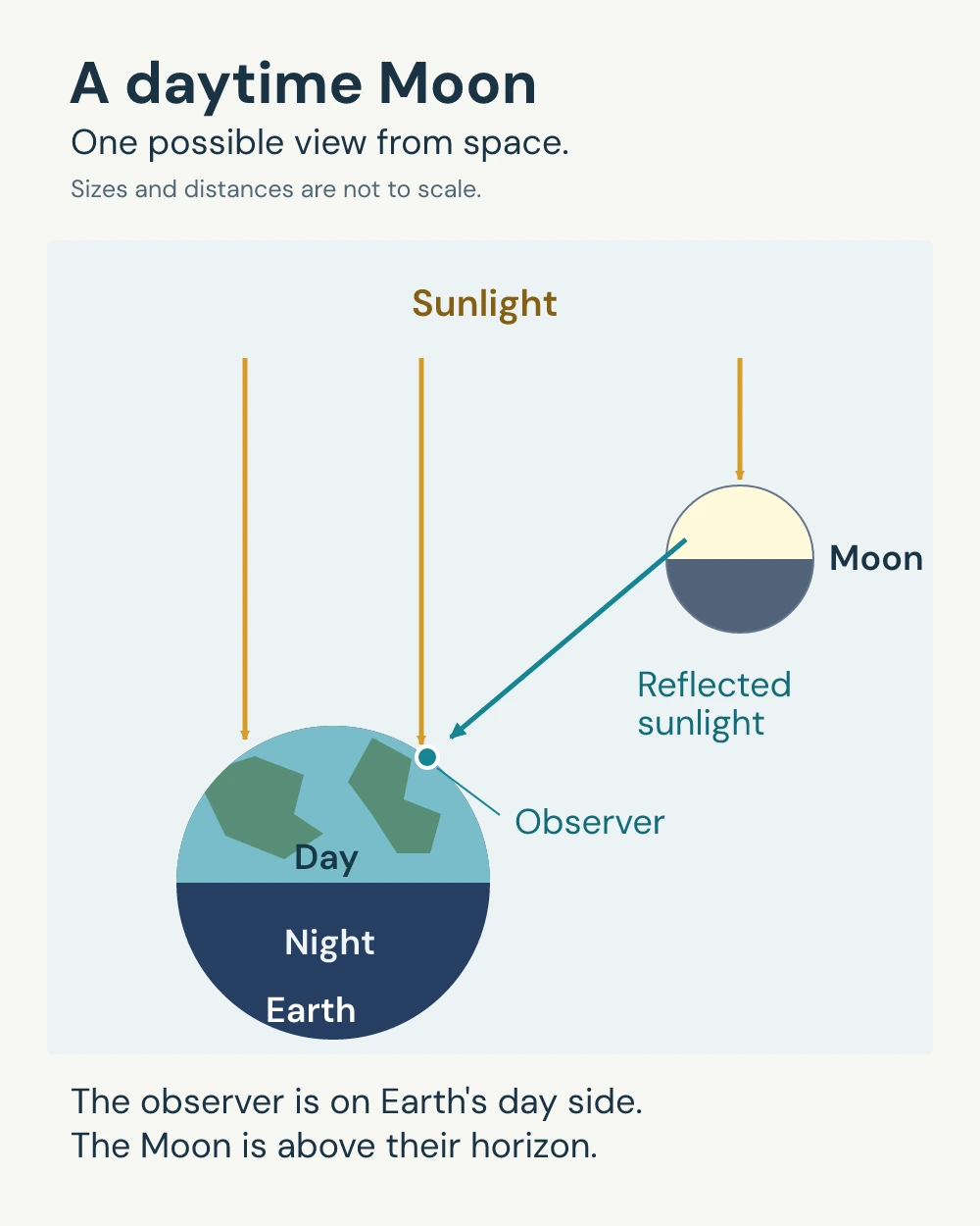 A diagram shows sunlight lighting half of the Moon and its reflected light reaching an observer on Earth's day side.