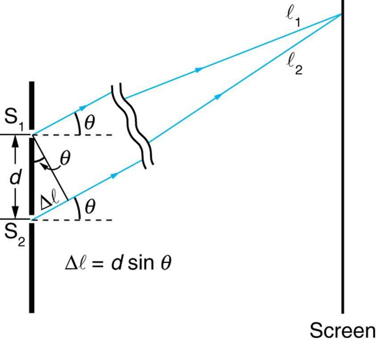 The figure is a schematic of a double slit experiment, with the scale of the slits enlarged to show the detail. The two slits are on the left, and the screen is on the right. The slits are represented by a thick vertical line with two gaps cut through it a distance d apart. Two rays, one from each slit, angle up and to the right at an angle theta above the horizontal. At the screen, these rays are shown to converge at a common point. The ray from the upper slit is labeled l sub one, and the ray from the lower slit is labeled l sub two. At the slits, a right triangle is drawn, with the thick line between the slits forming the hypotenuse. The hypotenuse is labeled d, which is the distance between the slits. A short piece of the ray from the lower slit is labeled delta l and forms the short side of the right triangle. The long side of the right triangle is formed by a line segment that goes downward and to the right from the upper slit to the lower ray. This line segment is perpendicular to the lower ray, and the angle it makes with the hypotenuse is labeled theta. Beneath this triangle is the formula delta l equals d sine theta.