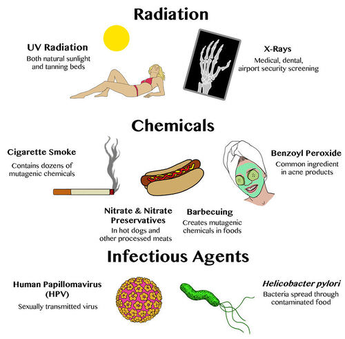 Examples of mutagens