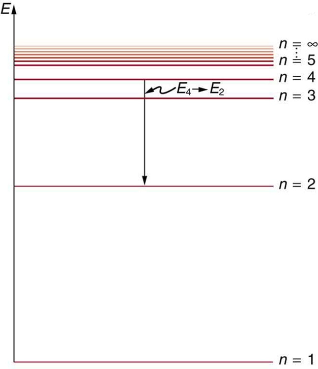 The energy level diagram is shown. A number of horizontal lines are shown. The lines are labeled from bottom to top as n is equal to one, n is equal to two and so on up to n equals infinity; the energy levels increase from bottom to top. The distance between the lines decreases from the bottom line to the top line. A vertical arrow shows an electron transitioning from n equals four to n equals two.