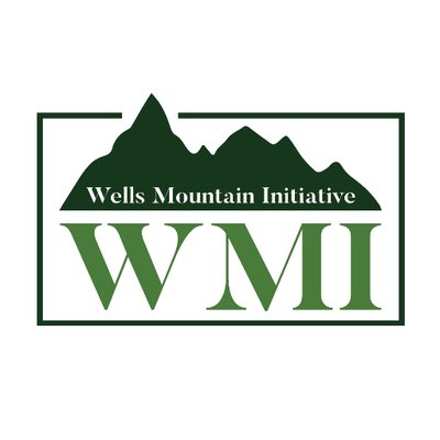 Wells Mountain Education Scholarship Program for Undergraduate Students