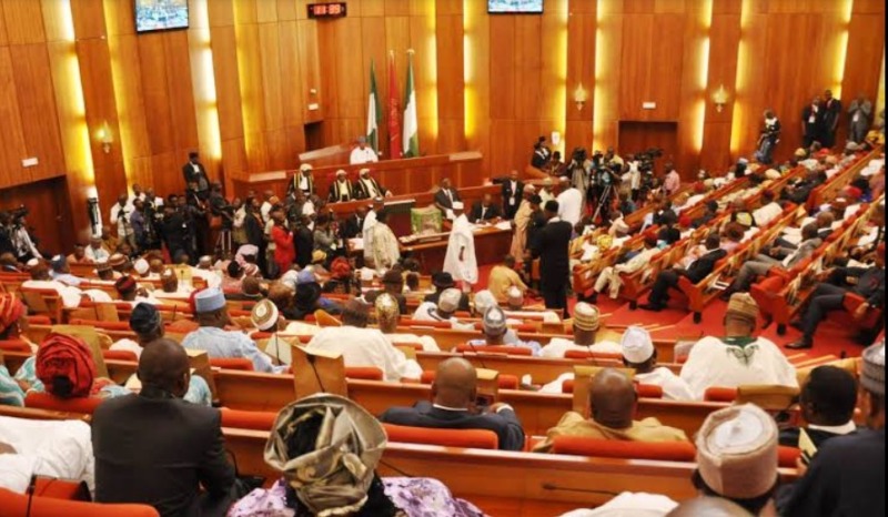 Nigerian Senate Move to Make Education Free to Senior Secondary Schools