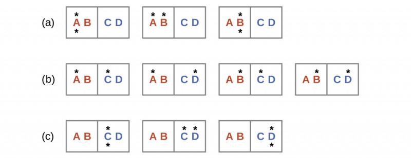 Three rows labeled a, b, and c are shown and each contains rectangles with two sides where the left side is labeled, “A,” and “B,” and the right is labeled, “C,” and “D.” Row a has three rectangles where the first has a dot above and below the letter A, the second has a dot above the A and B, and the third which has a dot above and below the letter B. Row b has four rectangles; the first has a dot above A and C, the second has a dot above A and D, the third has a dot above B and C and the fourth has a dot above B and D. Row c has three rectangles; the first has a dot above and below the letter C, the second has a dot above C and D and the third has a dot above and below the letter D.