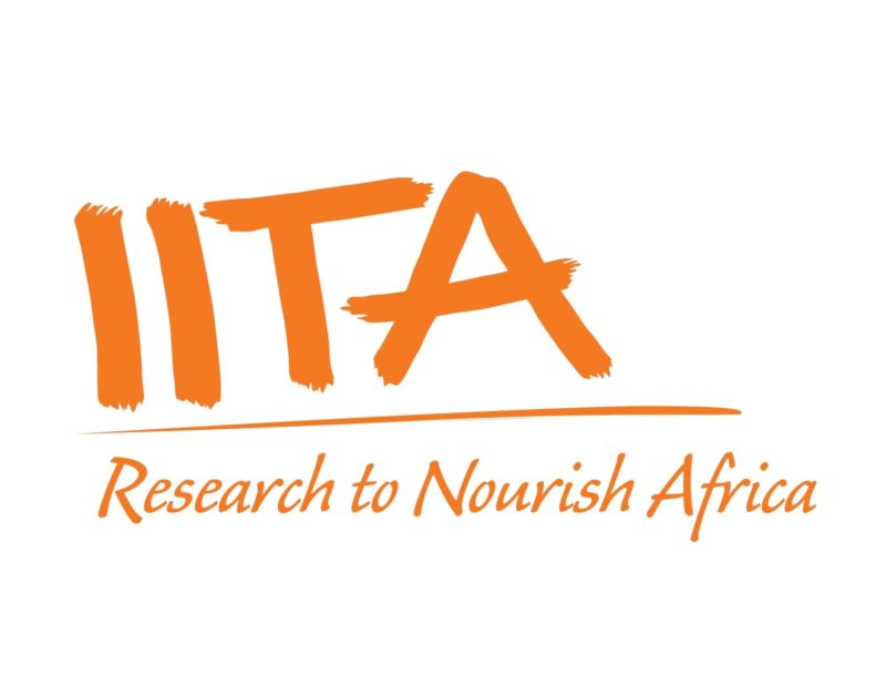 IITA Research Fellowships for Young Academics and Professionals, 2019