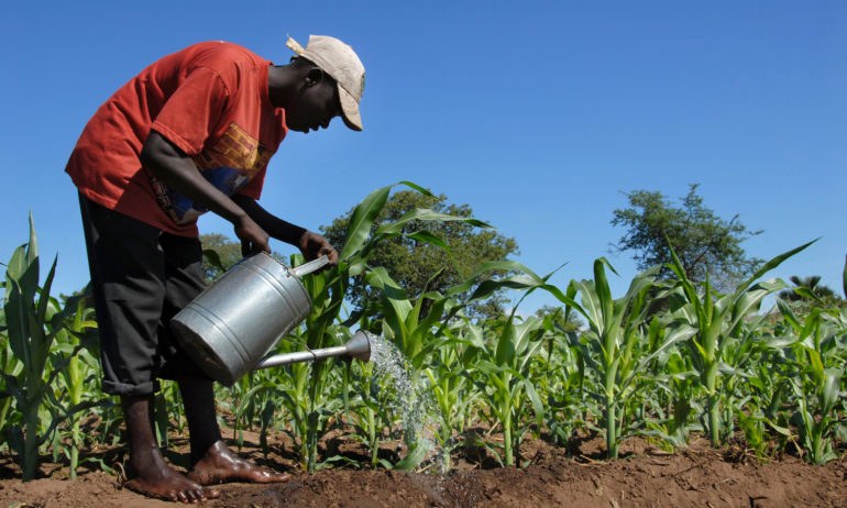 African farmer