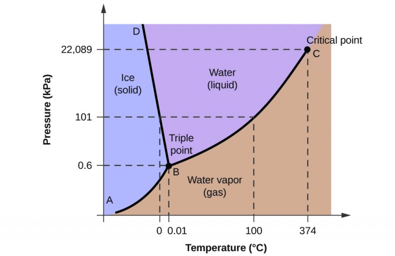 A graph is shown where the x-axis is labeled “Temperature in degrees Celsius” and the y-axis is labeled “Pressure ( k P a ).” A line extends from the origin of the graph which is labeled “A” sharply upward to a point in the bottom third of the diagram labeled “B” where it branches into a line that slants slightly backward until it hits the highest point on the y-axis labeled “D” and a second line that extends to the upper right corner of the graph labeled “C”. C is labeled “Critical point, with a dotted line extending downward to the x-axis labeled 374 degrees Celsius, and another dotted line extending to the y-axis labeled 22,089 k P a. The two lines bisect the graph area to create three sections, labeled “Ice (solid)” near the middle left, “Water (liquid)” in the top middle and “Water vapor (gas)” near the bottom middle. Point B is labeled “Triple point” and has a dotted line extending downward to the x-axis labeled 0.01, and another dotted line extending to the y-axis labeled 0.6. Halfway between points B and C a dotted line extends from the originally discussed line downward to the point 100 degrees Celsius on the x-axis, and another dotted line extends to the y-axis at 101 k P a. Another dotted line extends from this dotted line downward at 0 degrees Celsius.