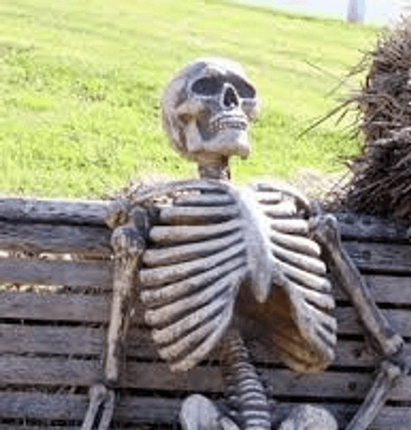 You, waiting for the 'any work' you sent to bring your food.